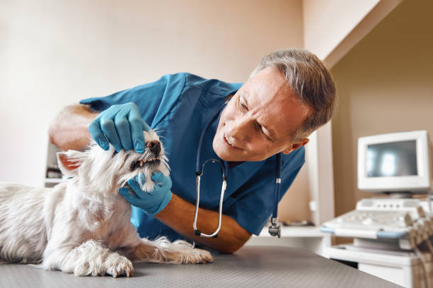 Best Root Canal Emergency Dentist  in Lake Caroline, VA